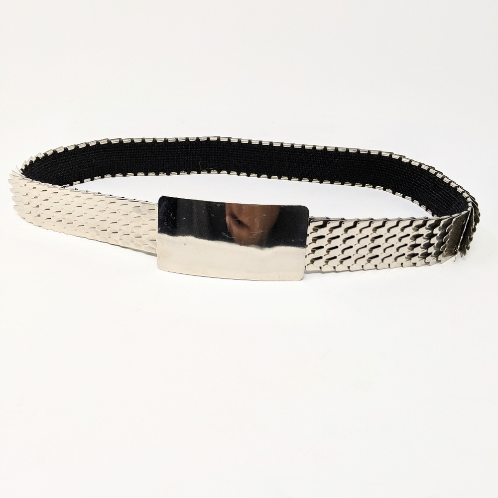 Metal Dragon Scale Belt